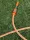 Rebell 6-lagiger PVC-Wasserschlauch gelb 1/2" 100 m Rolle