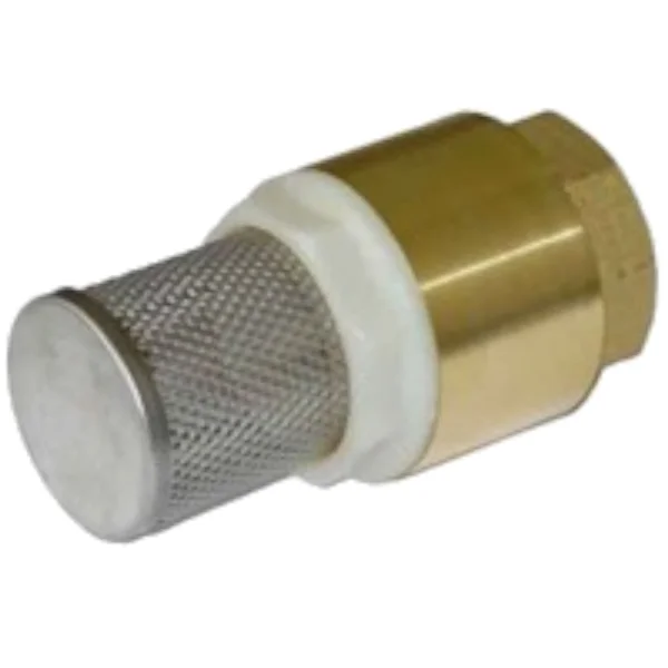 Messing Federbelastetes Fußventil 1 1/2" Innengewinde